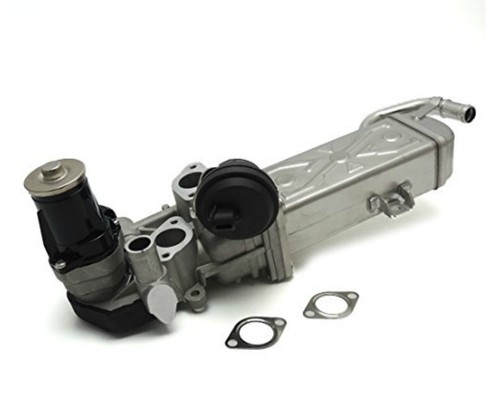 Radiatore egr valvola - egr,
