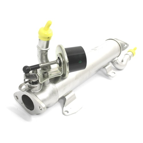 Radiatore gas scarico - radiatore,