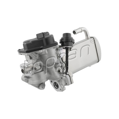 Radiatore valvola egr - per, audi