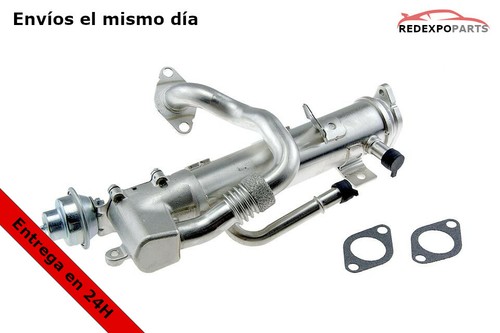 Refrigeratore egr audi - refrigeratore, a4
