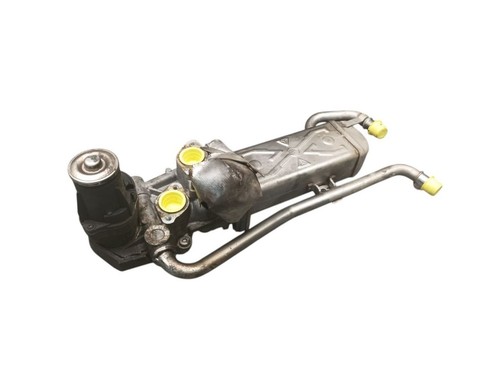 Valvola egr con radiatore - radiatore,